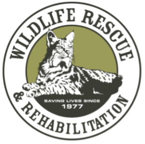 Wildlife Rescue and Rehabilitation logo